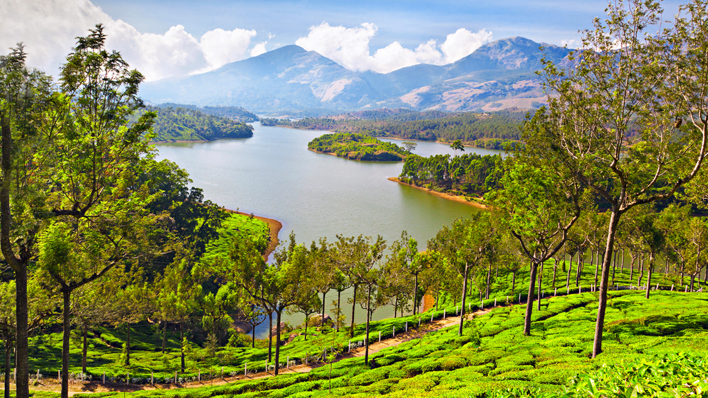 Kochi to Munnar
