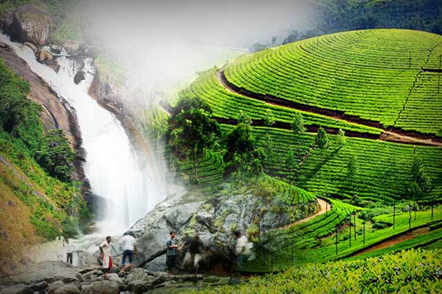 Munnar Tour